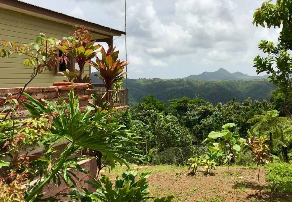 Cabin Mountain View Near Ponce Slepts 8 Exterior foto